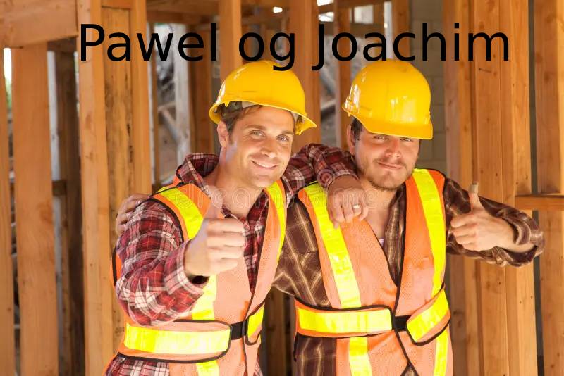 Joachim's Renhold